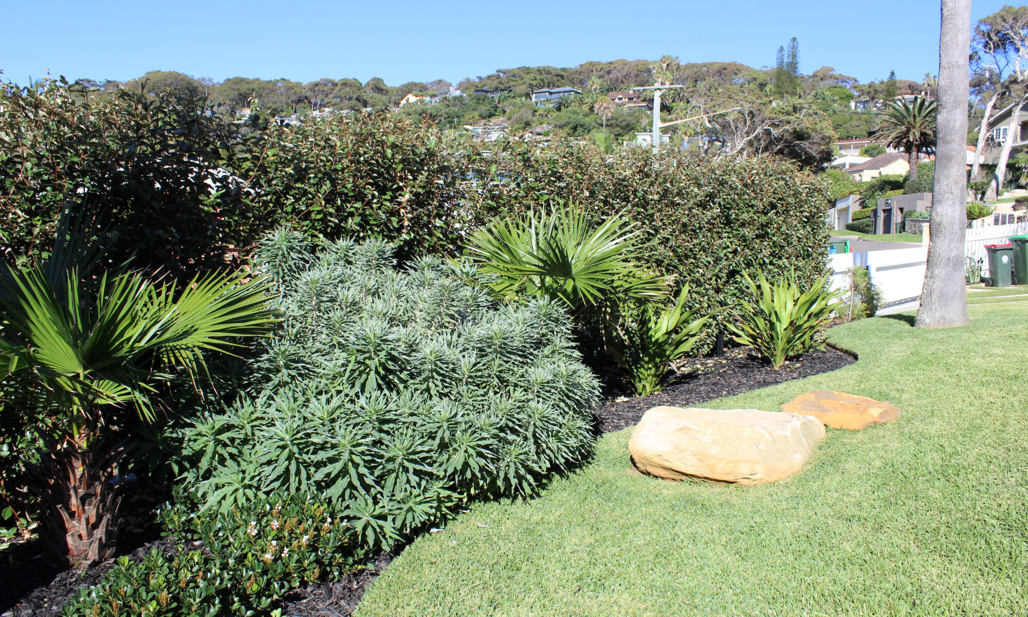 Palm Beach landscapers - Eclipse Landscapes