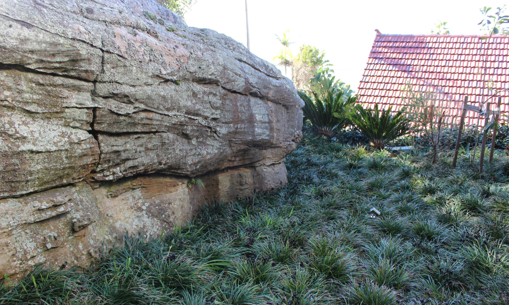 Palm Beach landscapers - Eclipse Landscapes