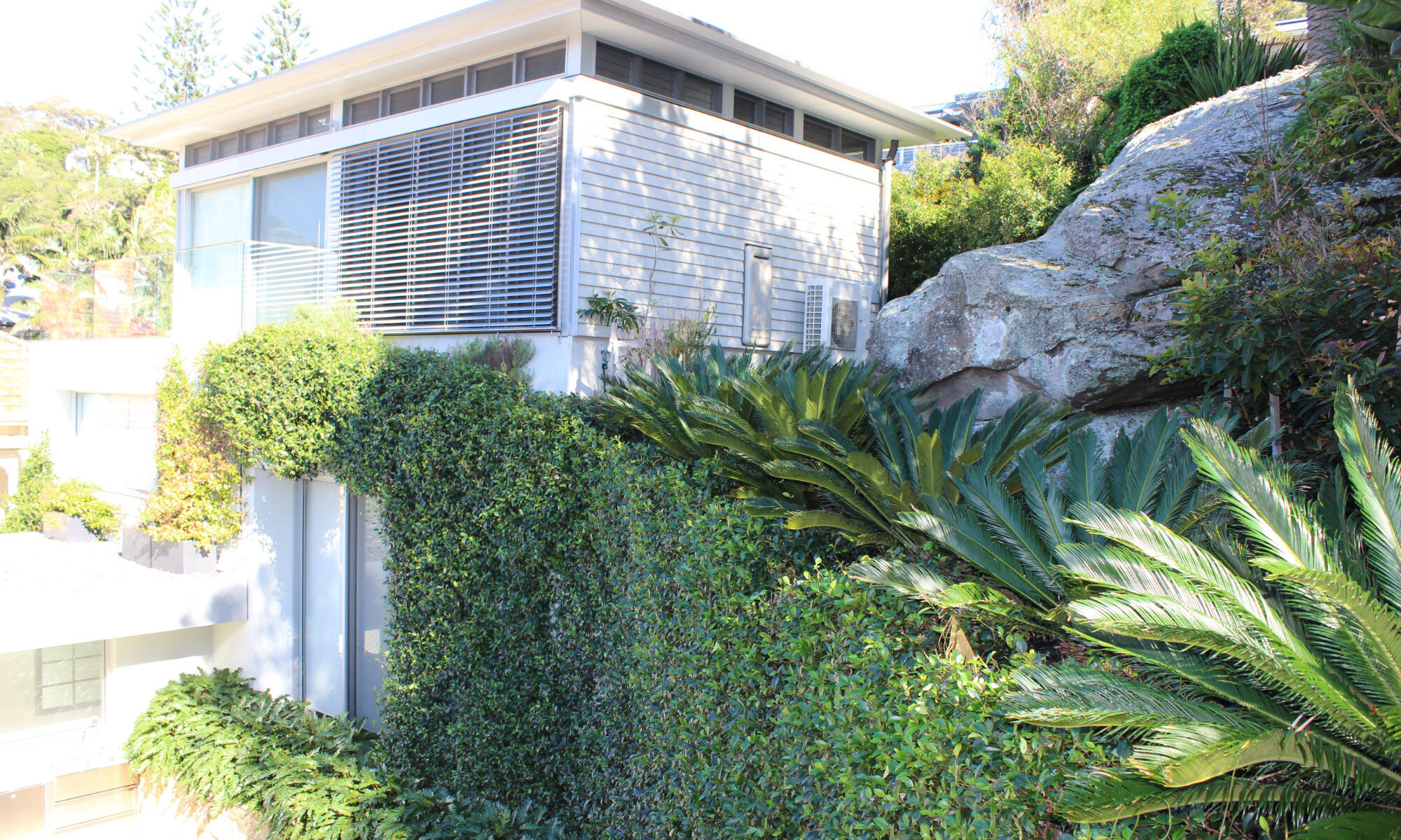 Palm Beach landscapers - Eclipse Landscapes