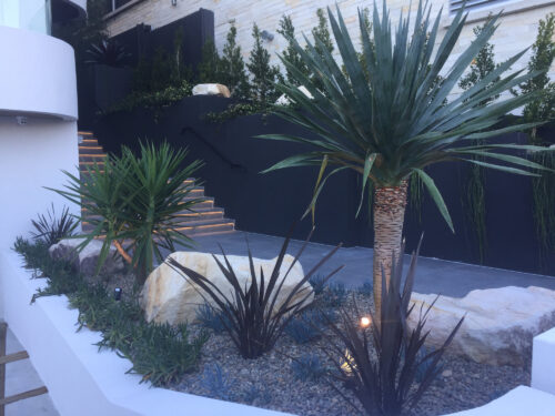 North Bondi landscapers - Eclipse Landscapes