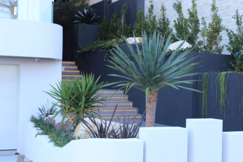 North Bondi landscapers - Eclipse Landscapes