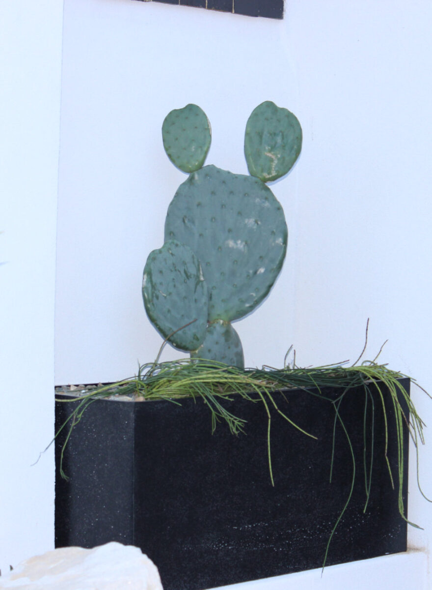 North Bondi landscapers - Eclipse Landscapes