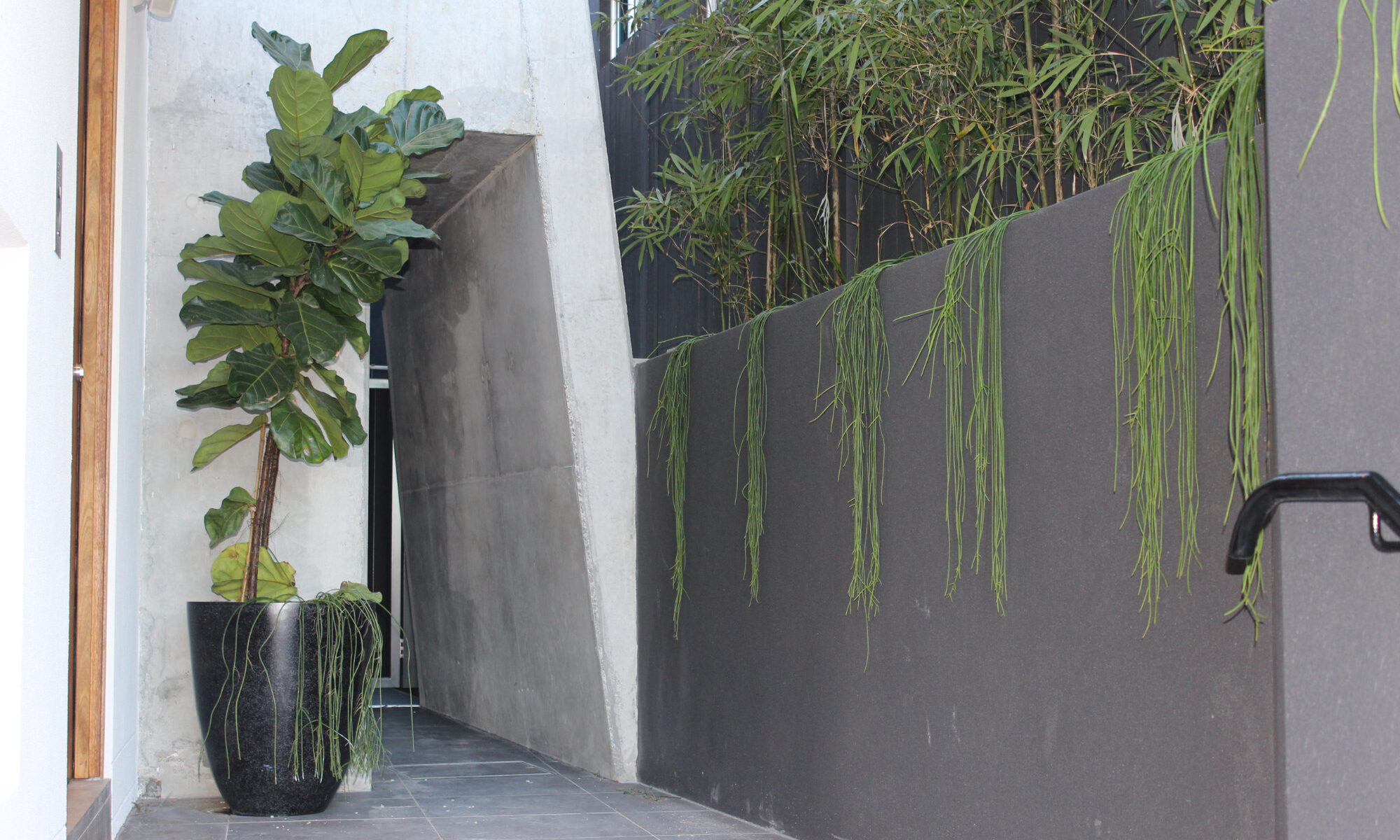 North Bondi landscapers - Eclipse Landscapes