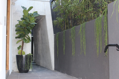 North Bondi landscapers - Eclipse Landscapes