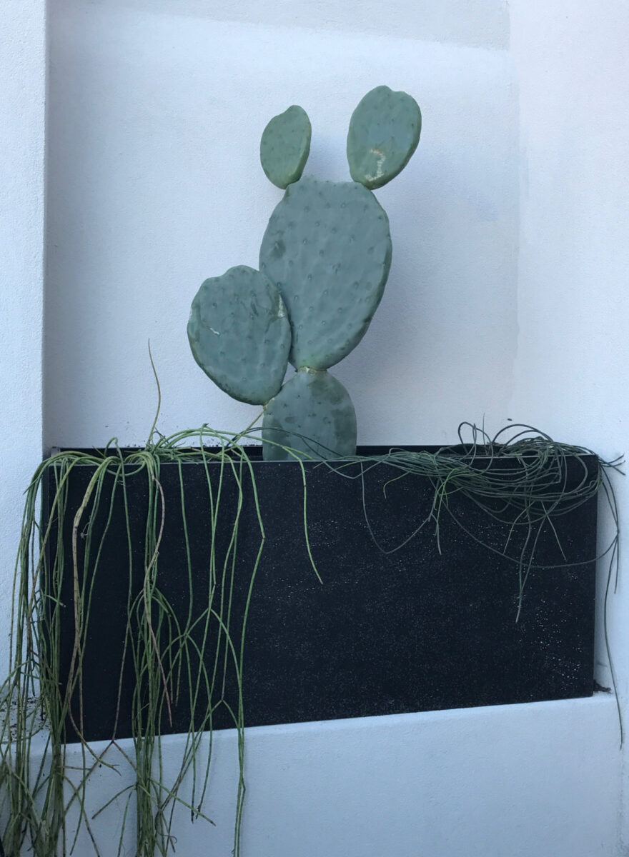 North Bondi landscapers - Eclipse Landscapes